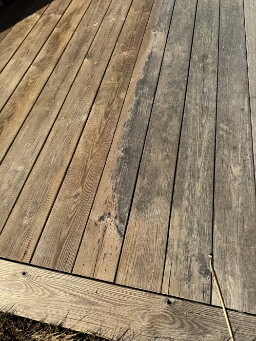 Träräckesdel av altan med ren och smutsig del; tydlig skillnad i färg efter rengöring med Kärcher PCL 6 och Cuprinol Tralltvätt.