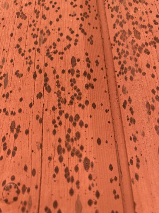 Mörka prickar på röd träpanel, kan vara mögel eller svartmögel.