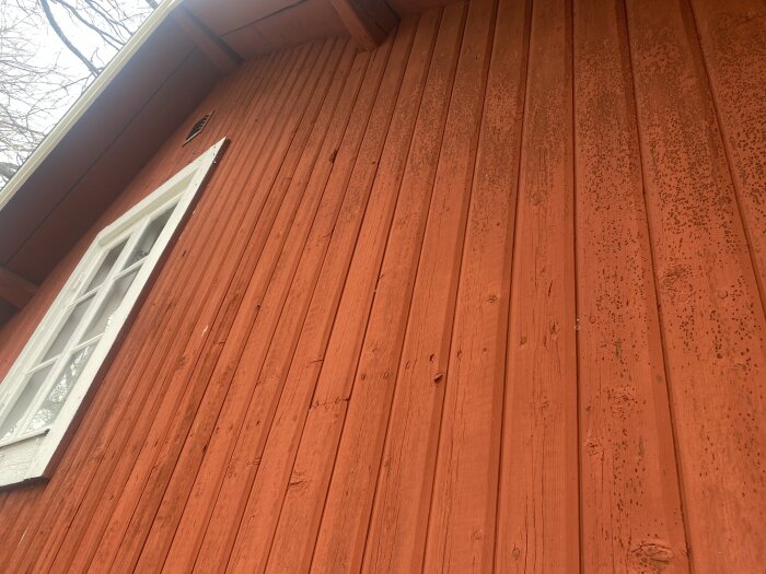 Röd träpanel på torp med mörka prickar, troligen mögel, vid norrsidan nära fönster och nock.