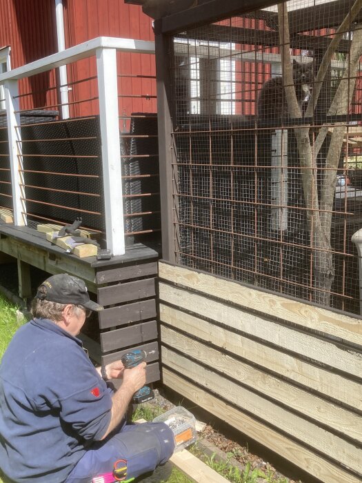 Person bygger vindskydd vid kattbur och fäster panel under trädäck med skruvdragare, katt syns i buren i bakgrunden.