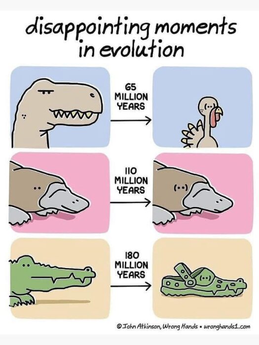 Tecknad bildserie med "besvikna ögonblick i evolutionen", showing dinosaur to kalkon, dinosaur to sköldpadda and krokodil to gummisko.