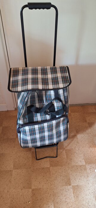 En rutmönstrad shoppingvagn med handtag, användbar för personer utan bil för att transportera matvaror.