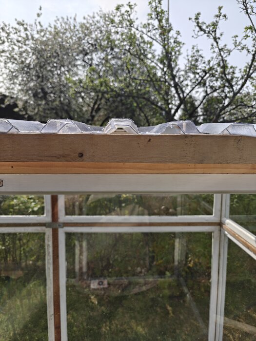 PVC-tak på hemmabyggt växthus av gamla fönster, med synlig ventilationsöppning och grönska i bakgrunden.