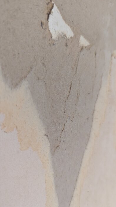 Närbild av gipsskiva där tapeten har rivits bort, vilket exponerar den underliggande ytan och orsakar skador.