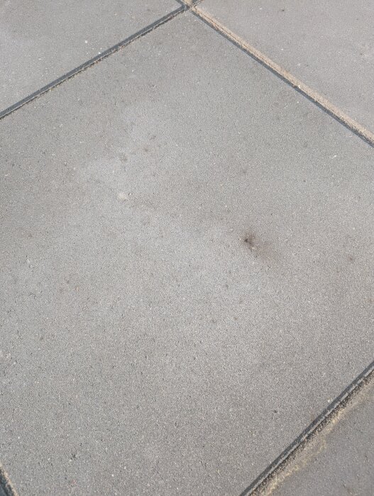 Gråa betongplattor med små bruna fläckar och utfällningar, troligen orsakade av hårdfog och bevattning.