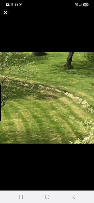 Gräsmatta med ett dike orsakat av jordvärmeinstallation, omgiven av träd och buskar.