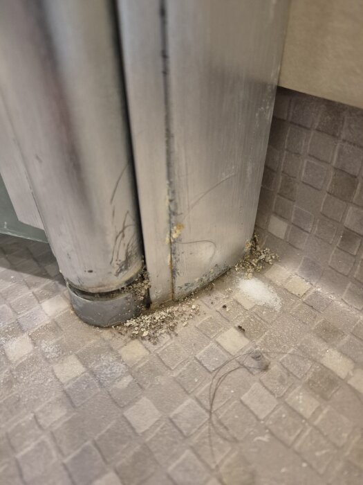 Myror vid duschdörrens botten, omgivna av vitt myrrmedel och grått material från under dörren på ett kaklat golv.