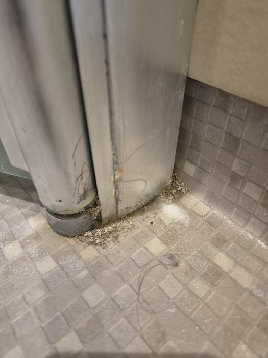 Myror tar sig in under duschdörren, vitt myrrmedel syns på kakelgolvet och grått material som myrorna burit ut ligger i hörnet.