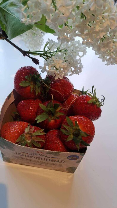 Färska svenska jordgubbar i en kartong, omgivna av vita blommor, står på en ljus yta.