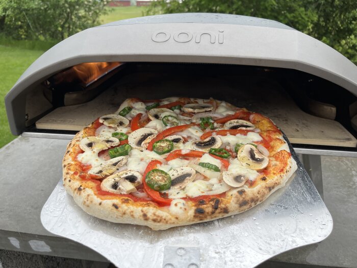 En pizza med champinjoner, jalapeños och tomat gräddas i en Ooni-pizzaugn utomhus.