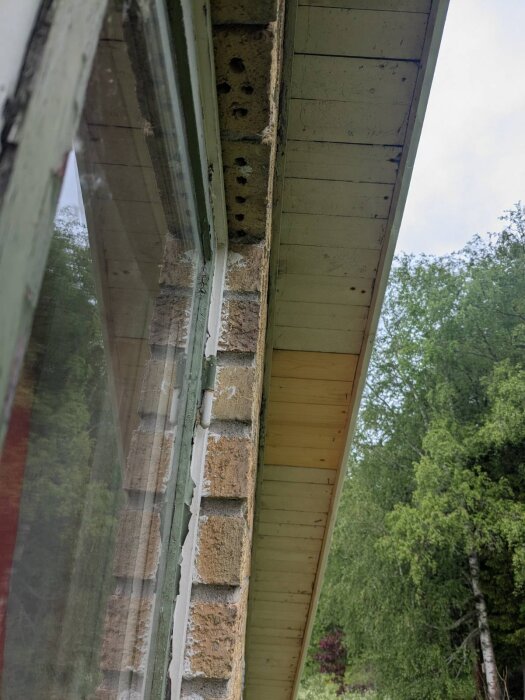 Närbild av äldre fönster i tegelfasad med glipa mellan tegel och innervägg, samt takutsprång av trä, omgiven av grönskande träd.