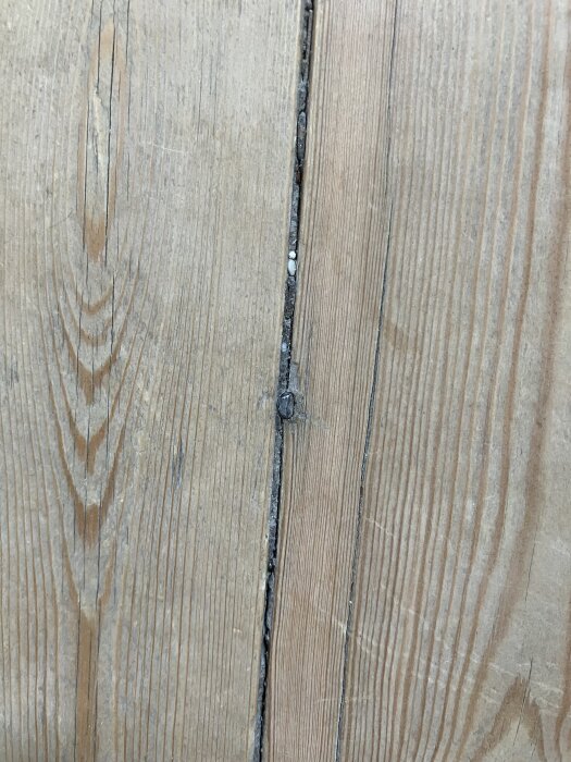 Golvskruv som sticker upp mellan plankor i ett trägolv.