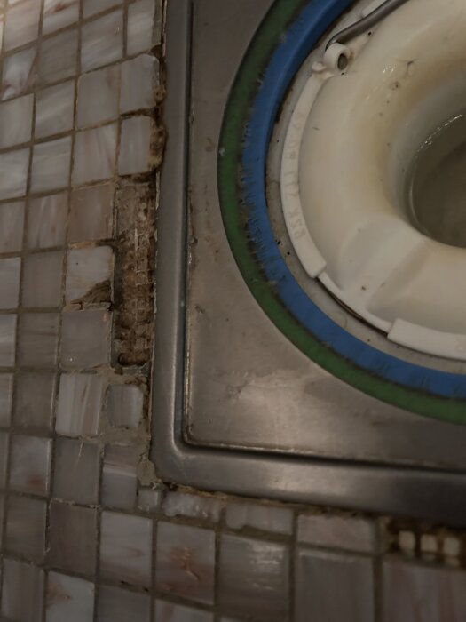 Klinkerbitar vid golvbrunn i badrum där vissa plattor lossnat och fog är delvis frånvarande, vilket orsakat skada vid brunnen.