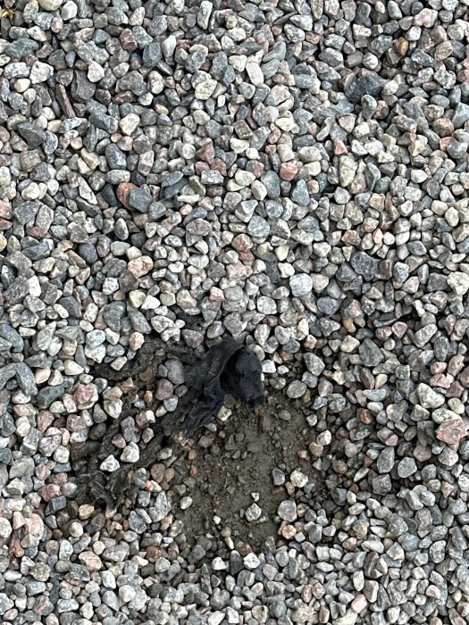 Gammal markduk syns bland småstenar, med en del av duken som sticker upp och jord under.