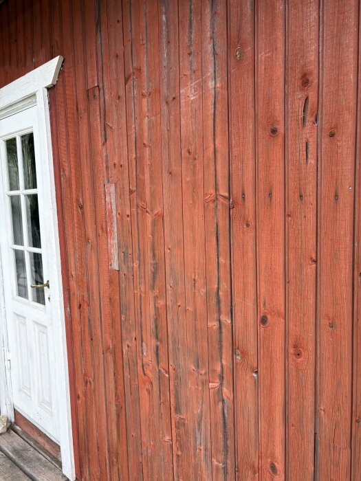 Röd träfasad på ett gammalt sommarhus med sprickor och slitage. En vit dörr till vänster.