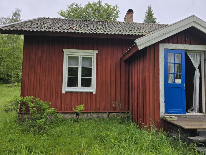 20250607_112425.jpg