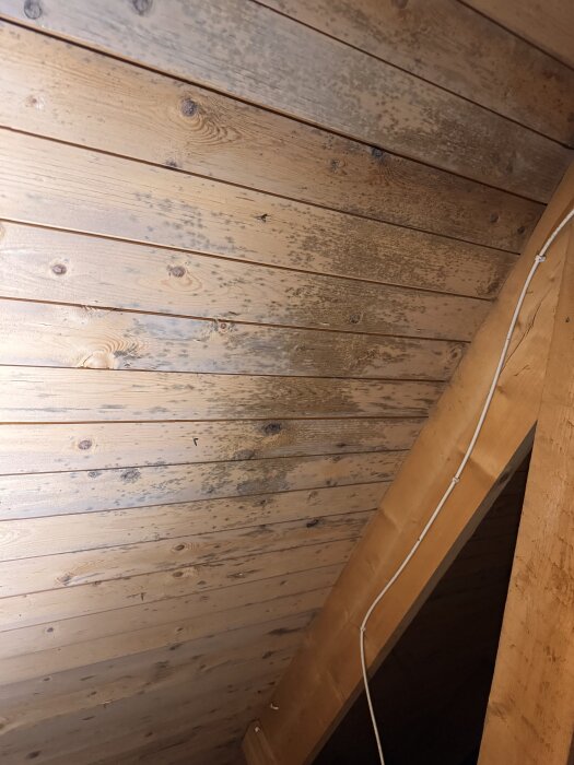 Mögelskada på råspont i kallvind, troligtvis orsakad av bristande ventilation i äldre hus. Fläckiga brädor med svart mögel syns tydligt.