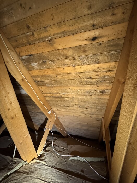 Mögling på insidan av råspont i vinden, med synliga svarta fläckar och träbjälkar. Elektriska kablar löper längsmed taket.
