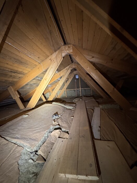 Gammal vind med träbjälkar och råspont där mögel syns på undersidan. Isolering i bjälklaget, några lösa brädor ligger på golvet.