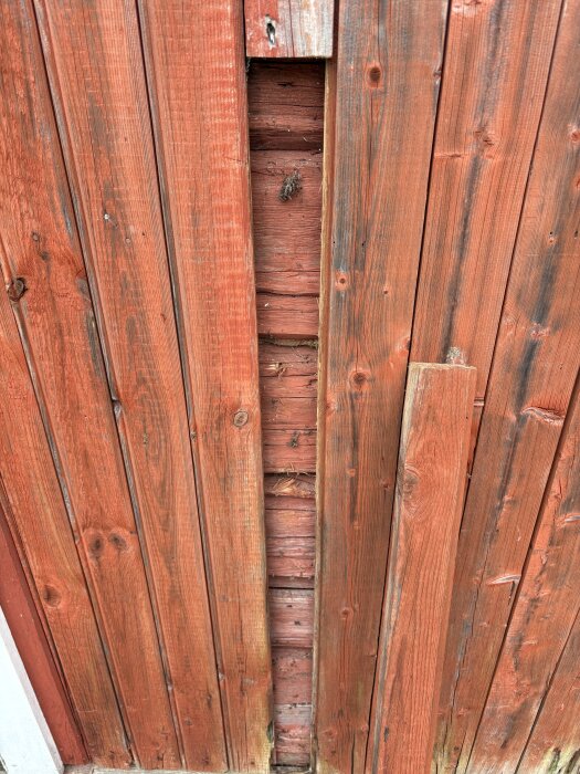 Röd träfasad med en del av panelen borttagen, avslöjande liggande timmerstomme bakom.