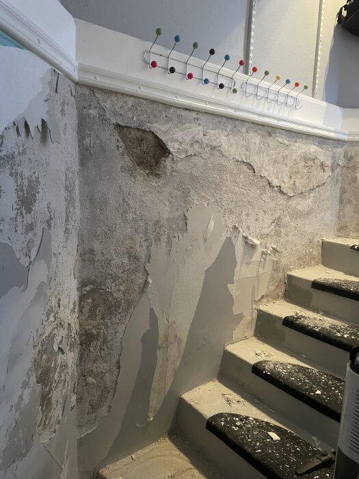 Flagnande spackel och skadad yta på en källarvägg intill en trappa. Kroklist med färgglada knoppar syns ovanför väggen.