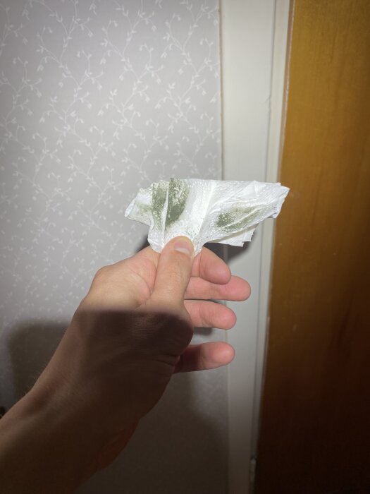 Hand håller papper med gröna fläckar som ser ut som möjligt mögeldamm, mot en bakgrund av tapet och dörr.