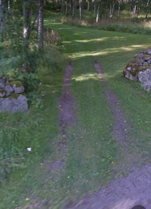 En grusväg som går genom en gräsmatta med stenmurar på sidorna, omgiven av träd i en skogsmiljö.