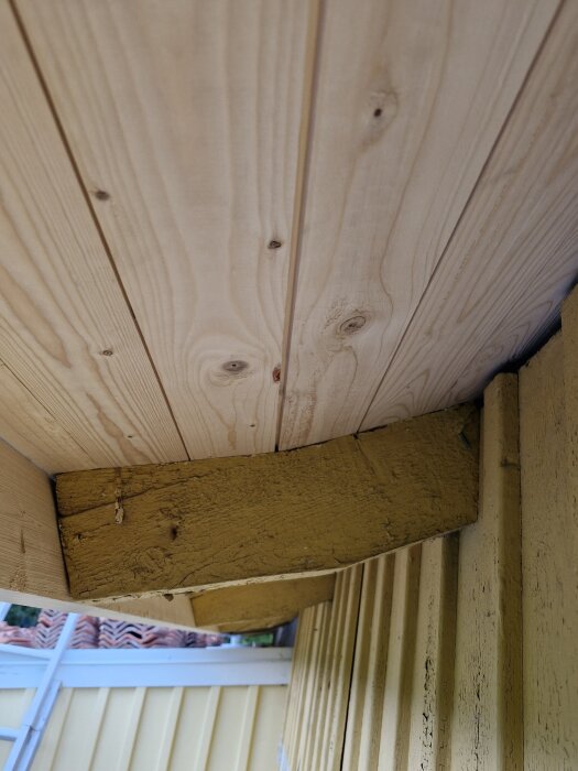 Taken i trä med en gul bjälke och en kil vid takstolen för vinkel. Provisoriskt överhäng som ska flyttas upp.