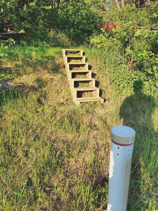 Enkel trappa av trä på gräsmatta, sluttande något åt sidan, med grönska runtomkring.