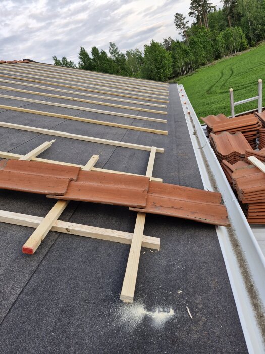 Tak under byggnation med träreglar och takpannor, ingen läkt längst ner, utsikt över skog och fält.