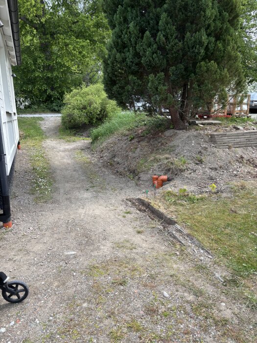 Stig som leder förbi ett träd och buske bredvid ett hus, med orange rör synliga på marken.