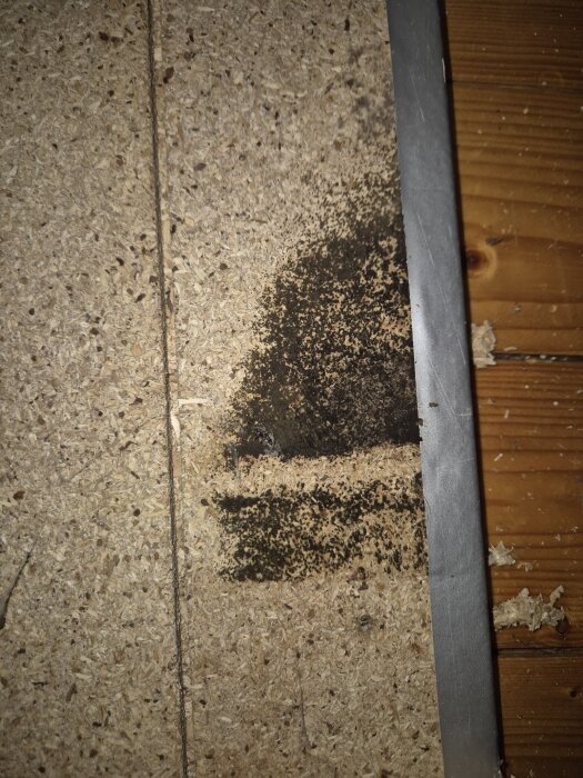 Mögel på köksstomme under sockel, med svarta fläckar på spånskiva bredvid träplanka och metalllist.