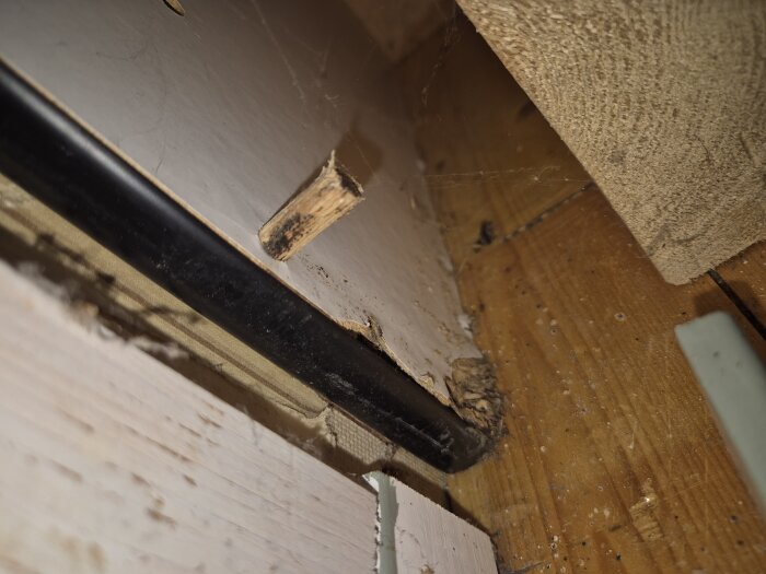 Skadad kökssockel med trä som verkar ha möggelangrepp, syns på väggen och i köksstommen, träytor med mögelliknande smuts och skador.