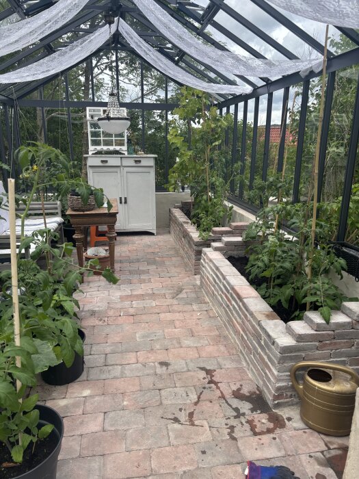 Växthusinteriör med två upphöjda murade odlingsbäddar av tegelsten, fyllda med jord och tomatplantor på terracottafärgad stengång.