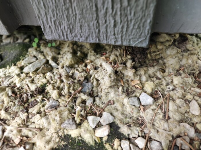 Isolering och småsten under en byggnad, möjligt in- och utflyttningsområde för råttor.