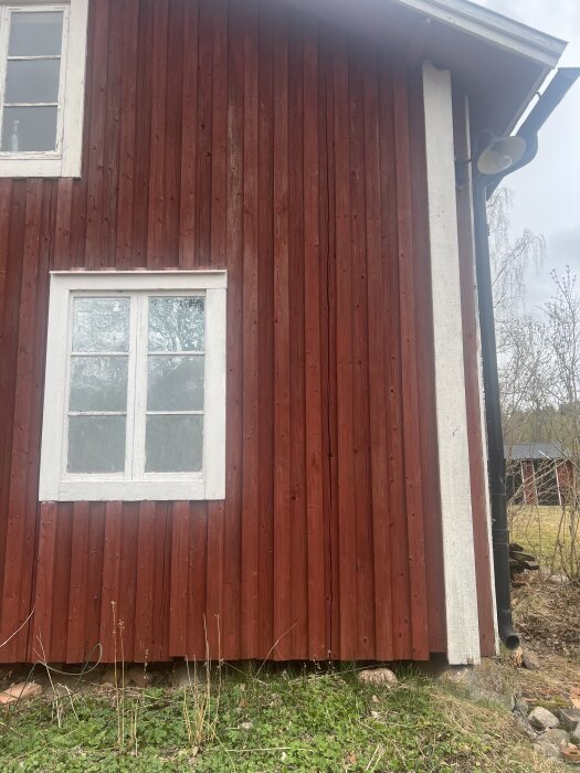 Röd träfasad med spruckna brädor och vita fönsterkarmar på ett äldre hus. Grönska vid husets grund.