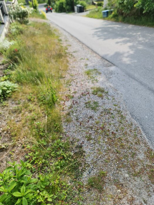 Grusig vägkant med ogräs och grönska bredvid en asfalterad väg, i en bostadsmiljö med träd och buskar.