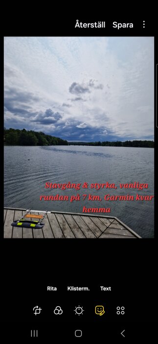 Brygga vid en sjö med träd i bakgrunden och molnig himmel, en räddningsstege är synlig på bryggan.