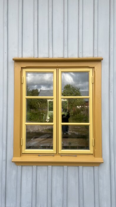 Gult och ockragult fönster med spröjs, mot en ljusgrå träfasad.