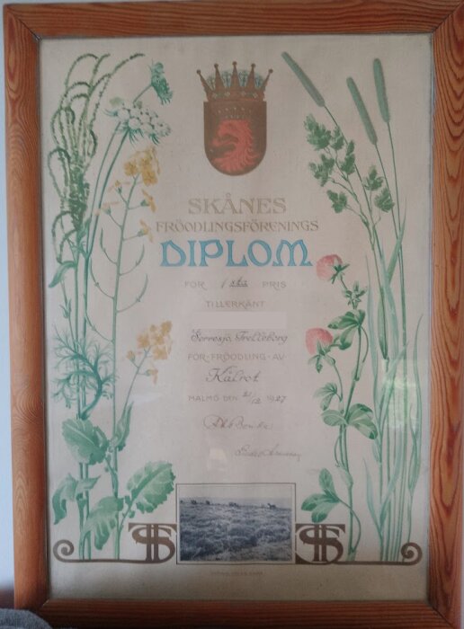 Diplom från Skånes Fröodlingsförening med växtillustrationer och sigill, tilldelat för odling av kålrötter i Trelleborg, daterat 1927.