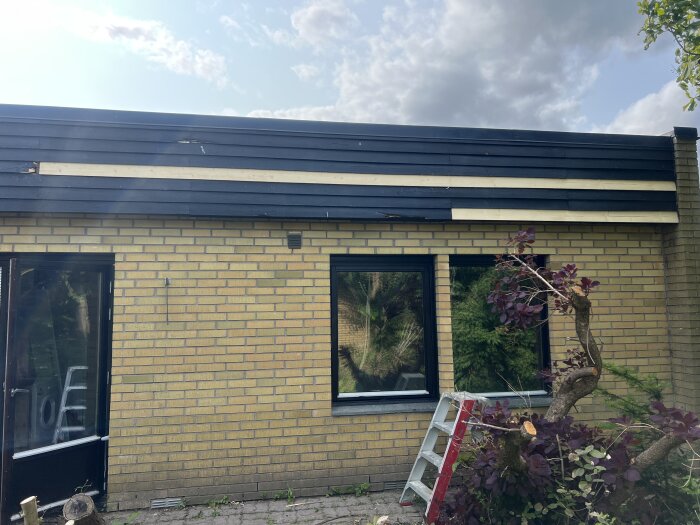 Gult tegelhus med avklädd fasad, två nya plankor synliga. Stege och avsågat träd i förgrunden under molnig himmel.