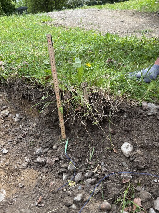 Fiberkabel avgrävd nära markytan vid grön gräsmatta, mätsticka visar djup, täckt av jord och stenar.