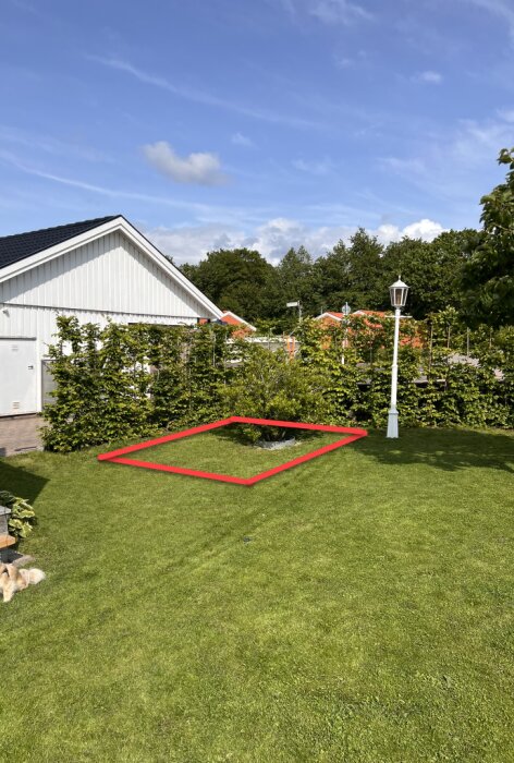 Gräsmatta med markerad rektangel för planerat växthus, häck i bakgrunden, lampa till höger, vit byggnad till vänster, klarblå himmel.