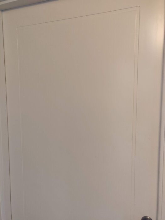 Vit dörr med subtila spårmönster i kanten, som del av diskussion om renovering och ommålning av massiva dörrar för att göra dem släta och moderna.