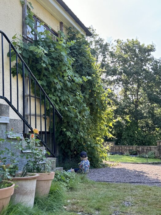 Barn sitter bredvid en trappa med smidesräcke och växtklädd vägg, krukväxter står vid sidan, solig dag med grönska i bakgrunden.