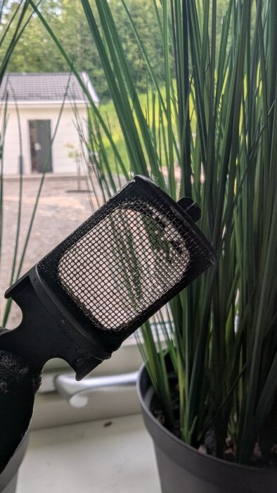 Filtret från en dammsugare hålls upp framför en växt, med en uteplats och skog i bakgrunden.