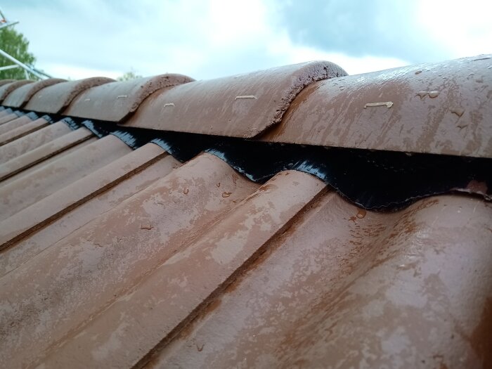 Brunt tak med våt nockpanna där en del av takets plåtarbete syns. Tydliga spår av regn på takytan under molnig himmel.