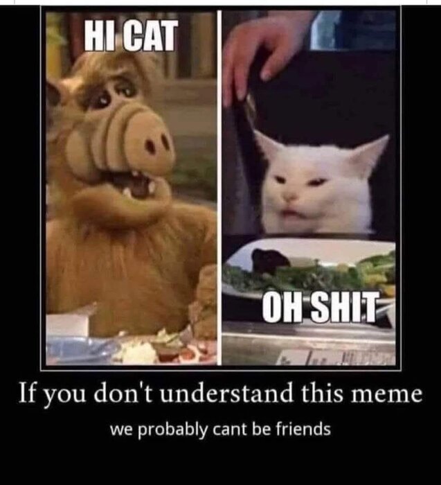 En meme med två paneler: en pälsbeklädd varelse hälsar på en katt, som reagerar förskräckt. Texten antyder delad humor.