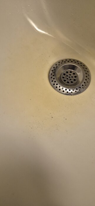 Bilden visar ett diskho med en metallbrunn och några små svarta partiklar spridda på ytan runt brunnen.