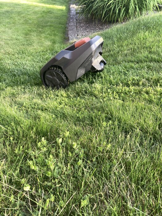 Roboten gräsklippare klipper gräsmatta intill en rabatt i en trädgård.